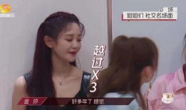 番薯姐姐爆料视频大全,揭秘幕后真相与精彩瞬间